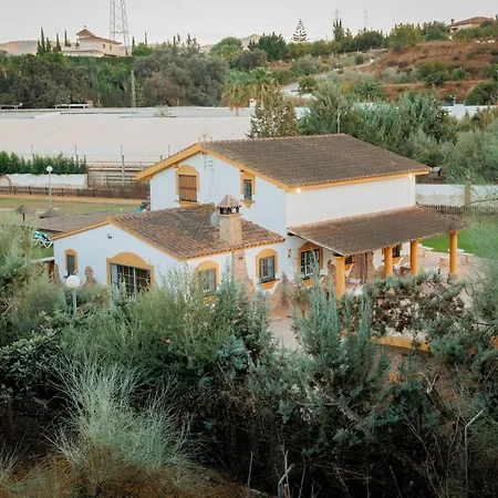 Malagueando